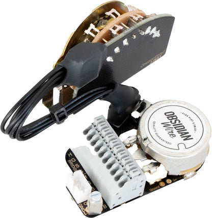 M2-S | Two Pickup Wiring Harness // S-Type