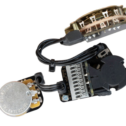 M2-S | Two Pickup Wiring | S-Type | Pickguard Mount