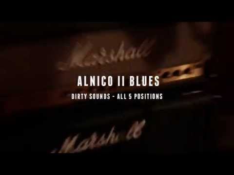 ALNICO II BLUES Strat Pickups TRS4
